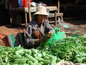 CAMBODGE58