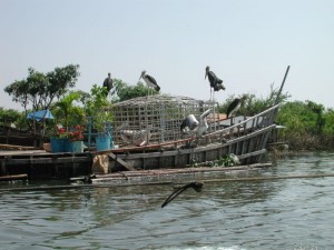 CAMBODGE64